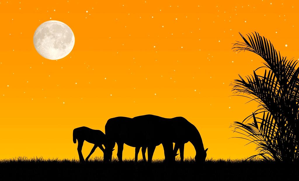 Parallel computing illustration with GPU cores and data streams